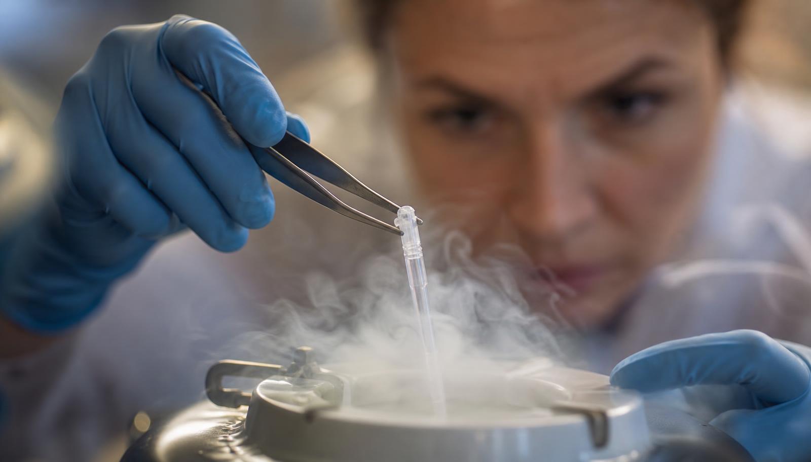 IVF-Arbeitsplatz mit überwachten Inkubatoren